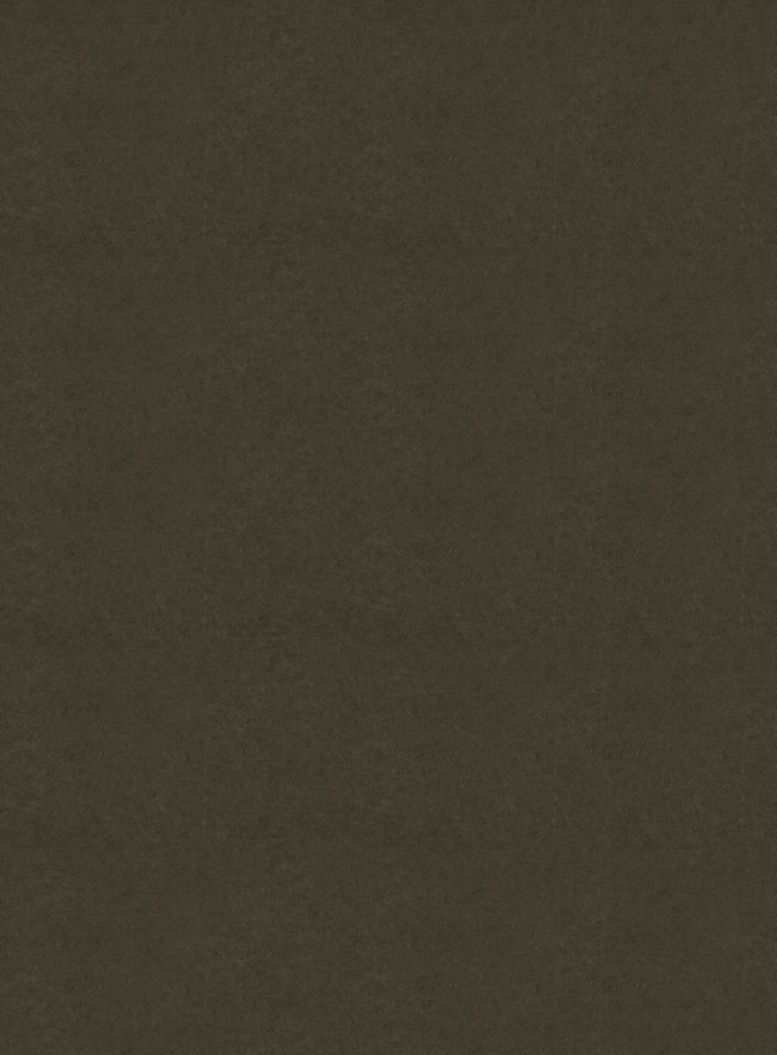 DutchLine - SPC Wandpaneel - Cemento Bruin Mat